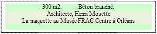 Zone de Texte: 300 m2. 	Bton branch.
Architecte, Henri Mouette
La maquette est au Muse FRAC Centre  Orlans

