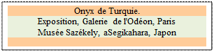 Zone de Texte: Onyx de Turquie.
Exposition, Galerie de l'Odon, Paris
Muse Sazkely, aSegikahara, Japon 

