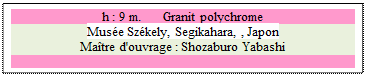 Zone de Texte: h : 9 m.      Granit polychrome
Muse Szkely, Segikahara, , Japon 
Matre d'ouvrage : Shozaburo Yabashi

