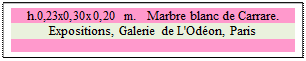 Zone de Texte: h.0,23x0,30x0,20 m.   Marbre blanc de Carrare. 
Expositions, Galerie de L'Odon, Paris

