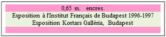 Zone de Texte: 0,65 m.   encres.
Exposition à l'Institut Français de Budapest 1996-1997
Exposition Kortars Galléria, Budapest

