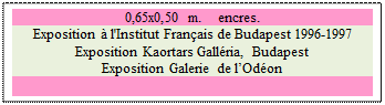 Zone de Texte: 0,65x0,50 m.    encres.
Exposition  l'Institut Franais de Budapest 1996-1997
Exposition Kaortars Gallria, Budapest
Exposition Galerie de lOdon

